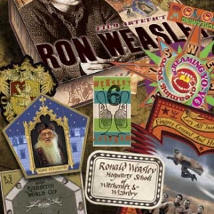 Boite d'artefacts Ron Weasley